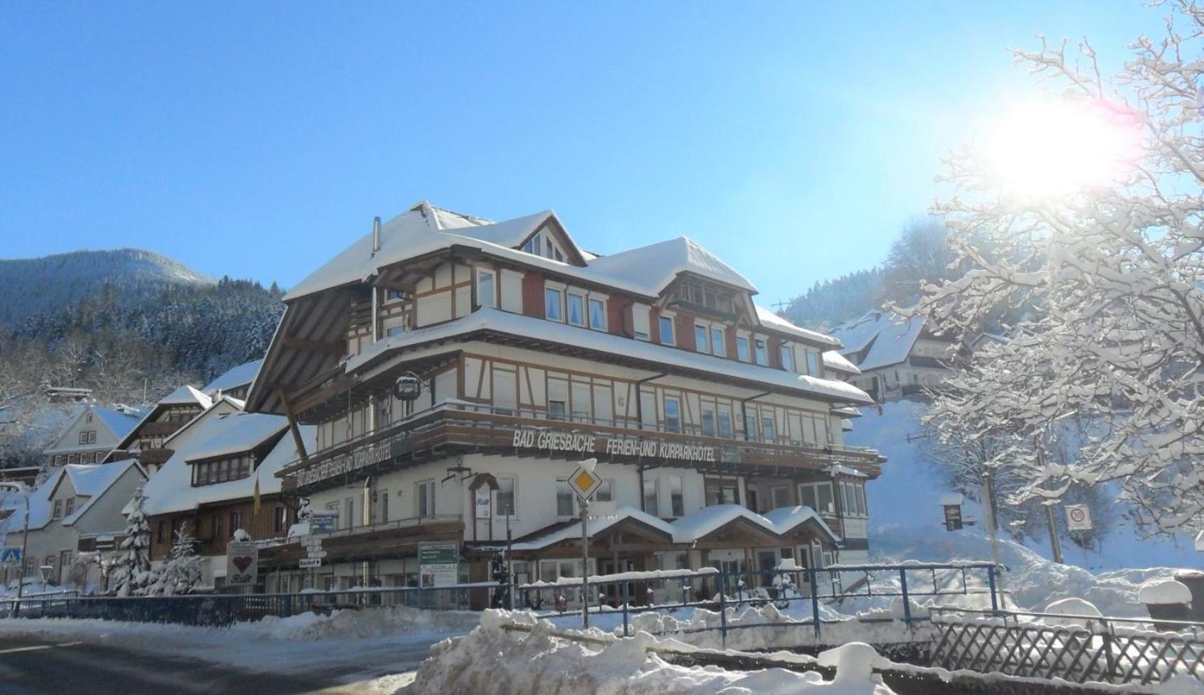 Kurparkhotel Faisst バート・ペーターシュタル・グリースバッハ エクステリア 写真