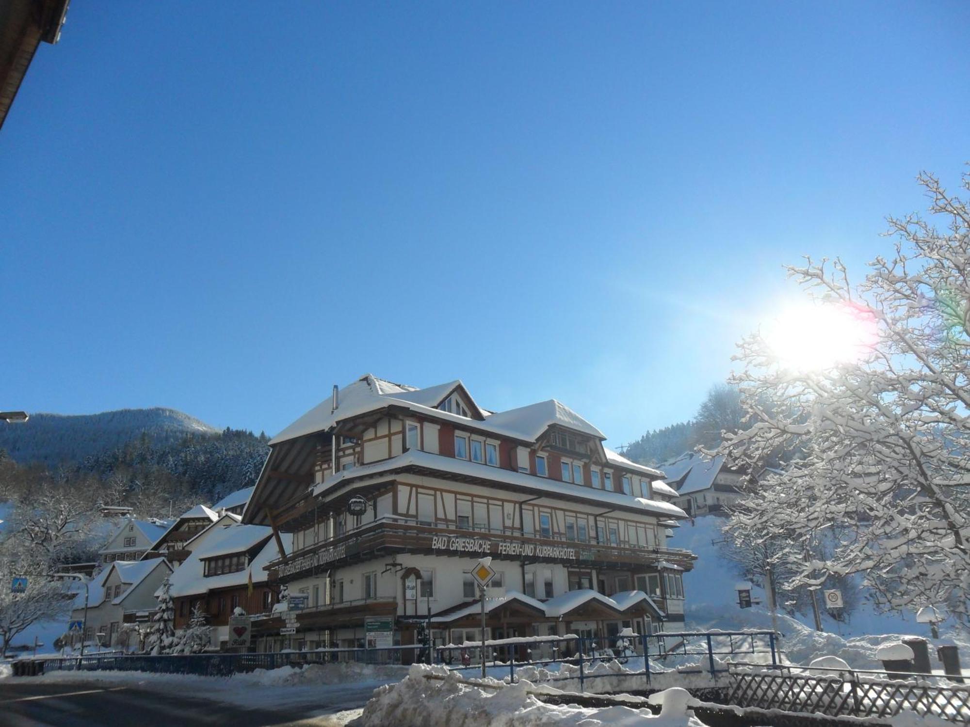 Kurparkhotel Faisst バート・ペーターシュタル・グリースバッハ エクステリア 写真